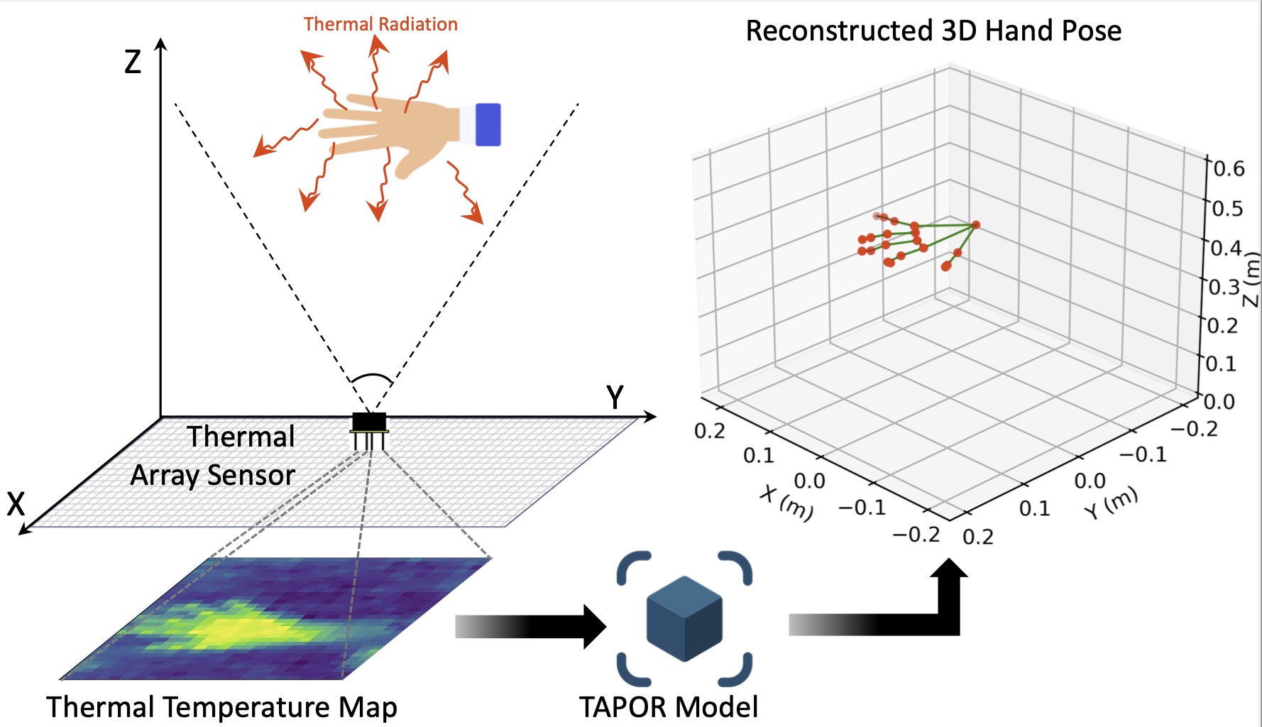 Publication thumbnail for TAPOR: 3D Hand Pose Reconstruction with Fully Passive Thermal Sensing for around-Device Interactions
