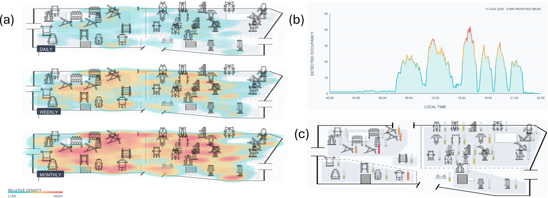 Gym occupancy heatmaps over a month, a week, and a day, a 24-hour curve, and equipment-level usage.
