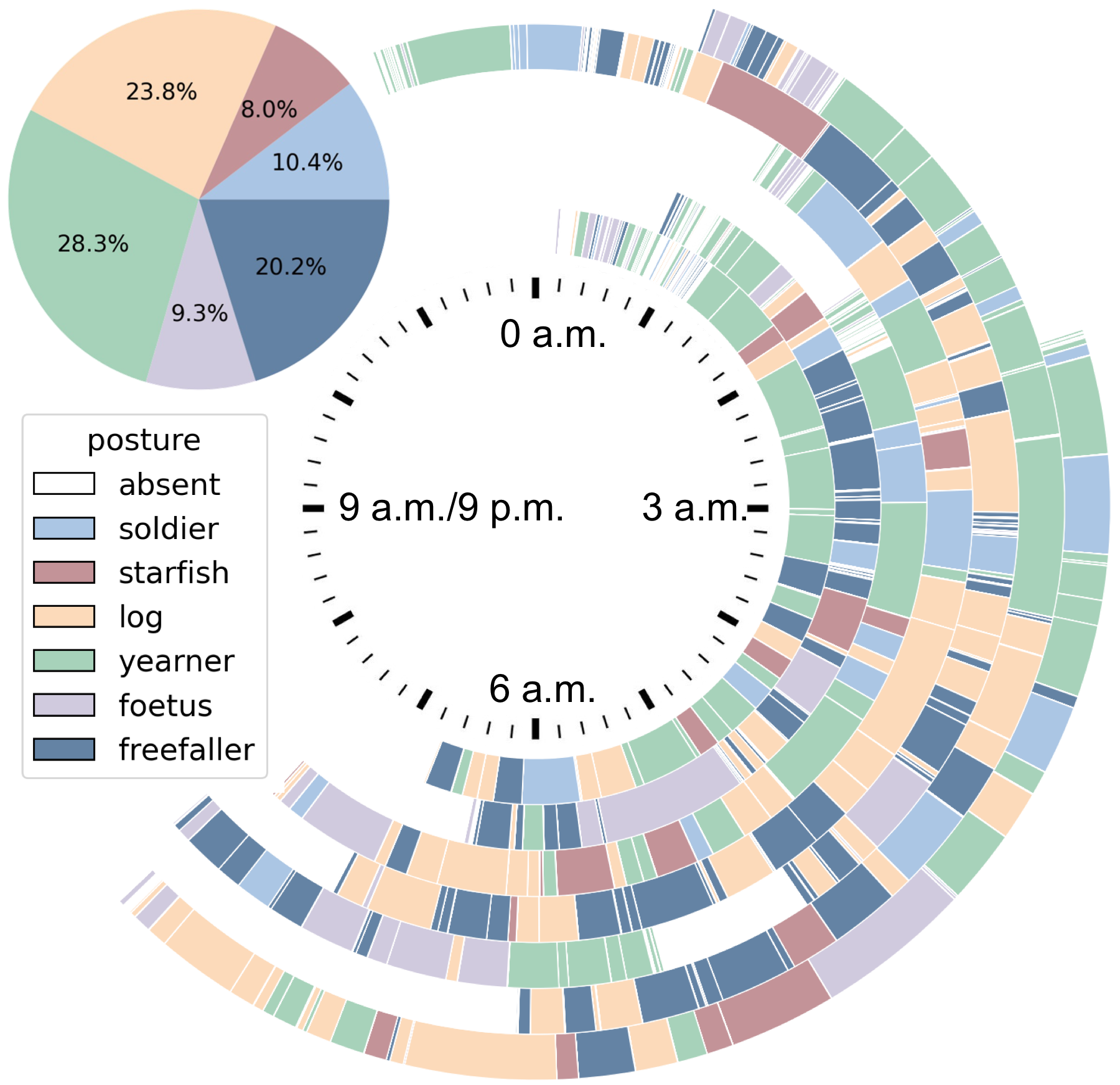 A week of nights drawn as rings of a clock, colored by sleep posture, with a pie of time in each posture.